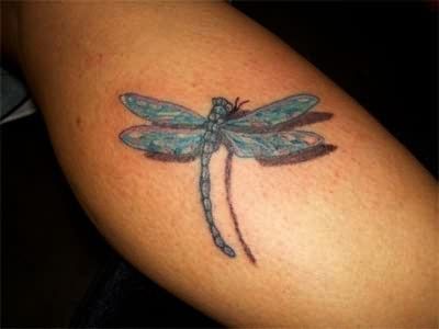 Niebieska ważka tatuaż