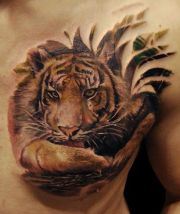 Biomechanika tatuaż tygrys