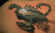 Mechaniczny skorpion tatuaż