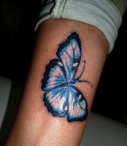 Motyl czarno-niebieski tatuaż