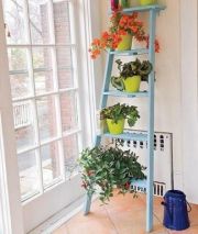 Drabina jako kwietnik