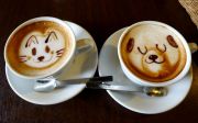 Zwierzaki na kawie